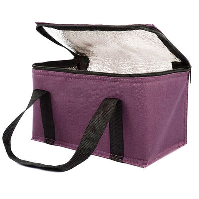 OEM Custom Printing Soft Insulated Cooler Bag 21*13*14 Cm с емкостью 4L 16L 32L